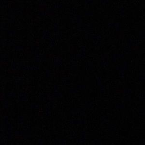 Meet your Posher, Priscilla